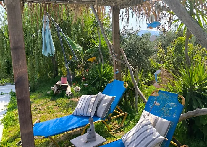 Olive And Blue Retreat *