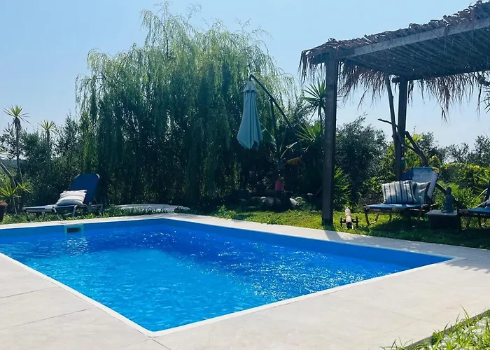Olive And Blue Retreat *