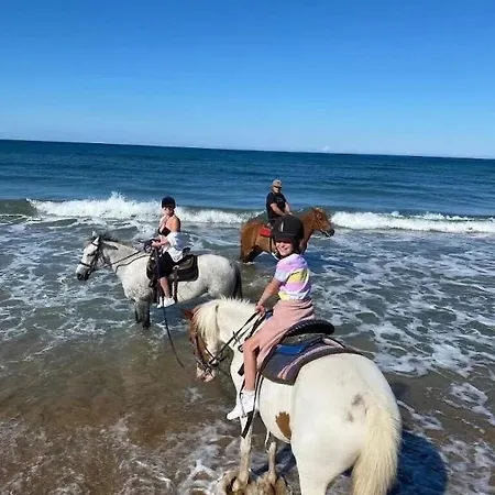 Olive And Blue Retreat