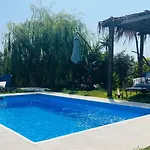 Olive And Blue Retreat *