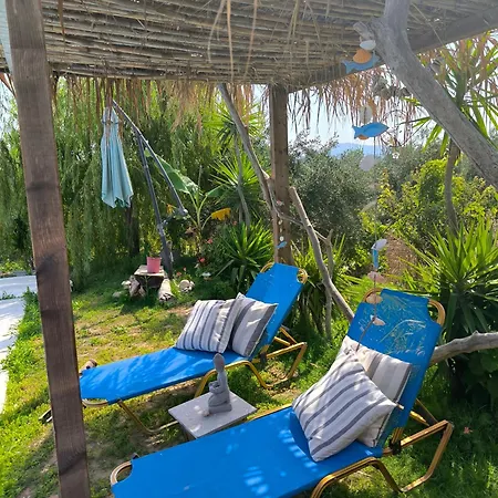 Olive And Blue Retreat *