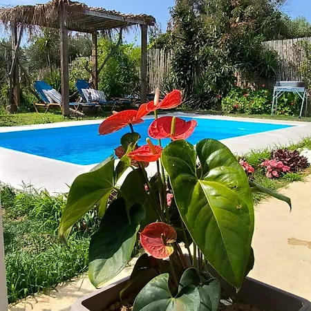 Olive And Blue Retreat Вилла *