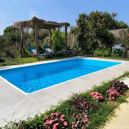 Olive And Blue Retreat Villa