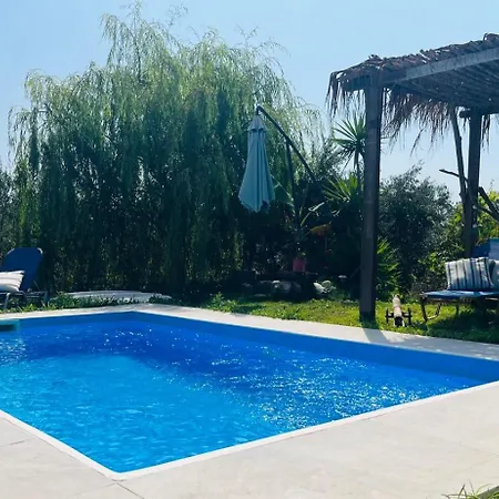Olive And Blue Retreat *